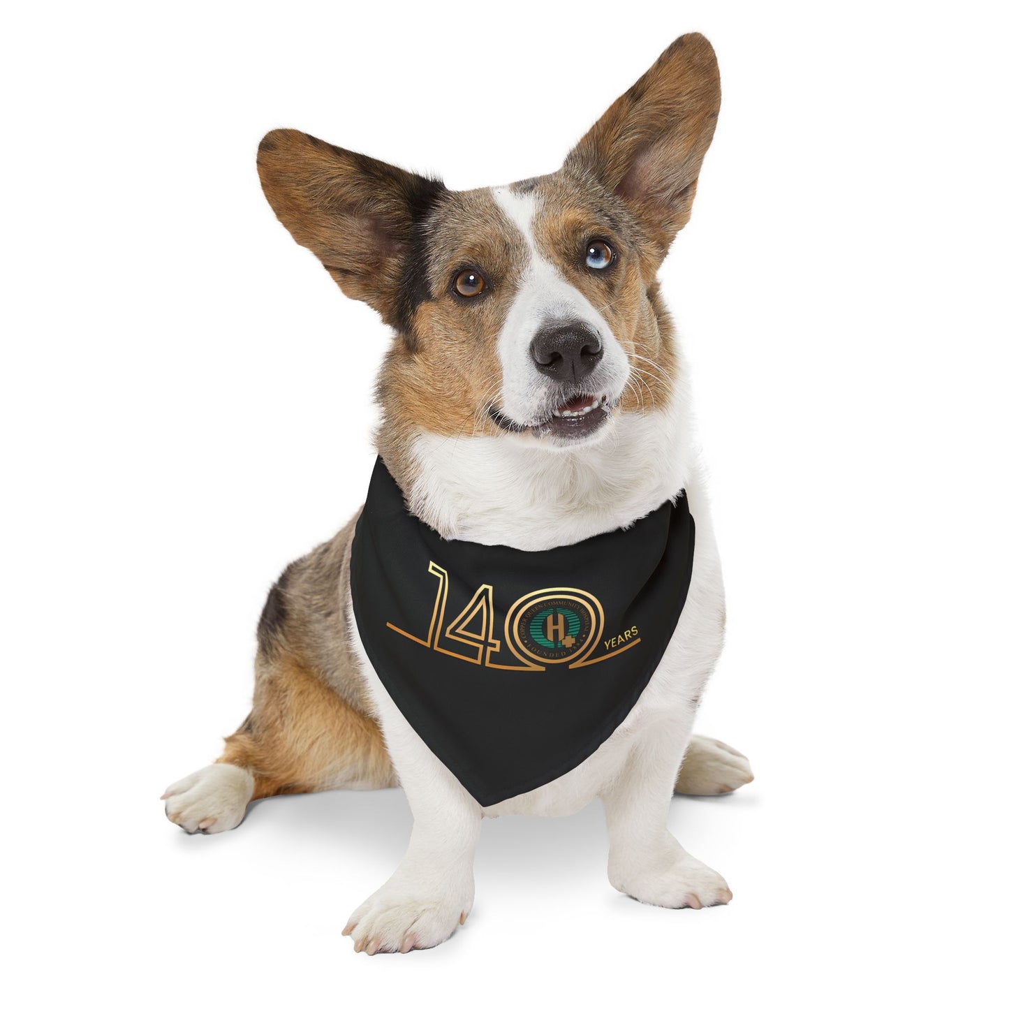 Pet Bandana Collar - 140th Anniversary