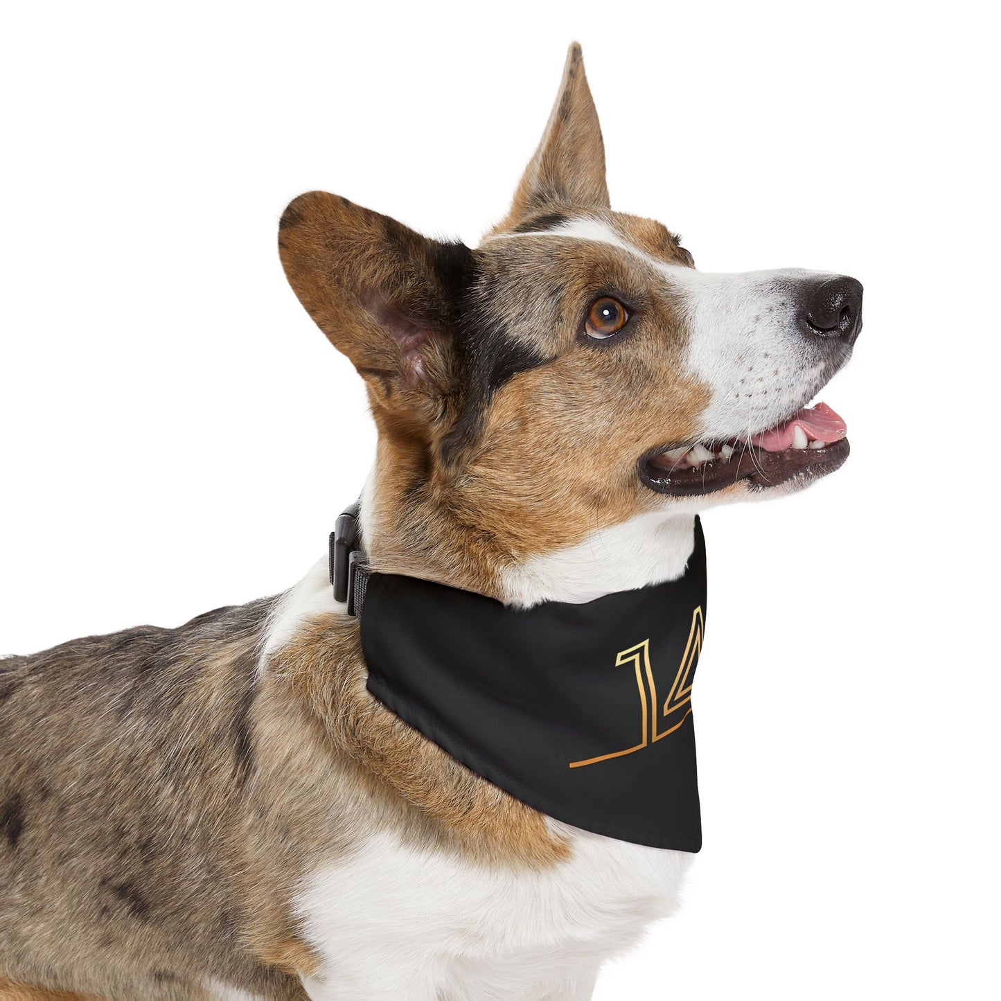 Pet Bandana Collar - 140th Anniversary